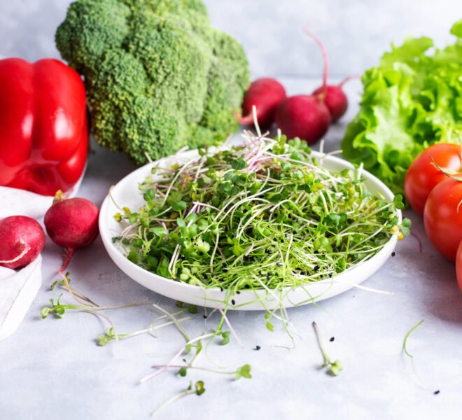 White plate with fresh microgreens is on a white plate with gre