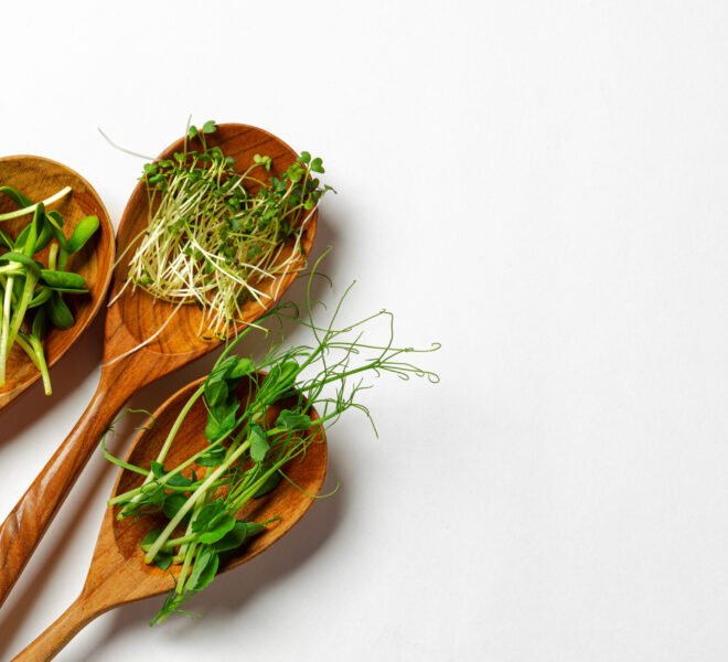 Micro greens in wooden spoon on white background